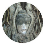 Buddha Head
