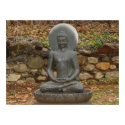 Buddha in the rain posters