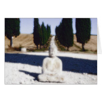 Buddha in Tuscany