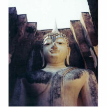 Buddha photo sculptures