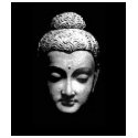 buddha t-shirts by kristy_571 buddha t-shirts