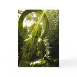 buddha with rays cards