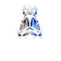 buddhaduel t-shirts