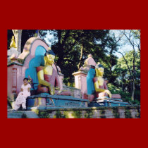 Buddha's Pink Lady, Swambunath posters by Wonderlane Buddha's Pink Lady, Swambunath posters