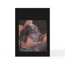 Buddies cards