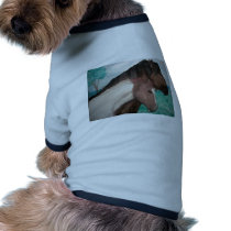 Buddies Dog Clothing
