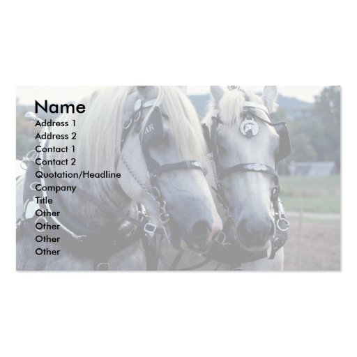 Buddies, horse team business card (front side)