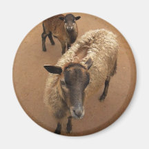 Buddies in Brown Refrigerator Magnets