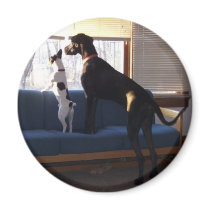 Buddies magnets