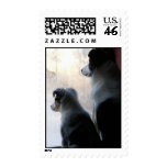 Buddies Postage Stamps