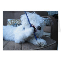 "Budding Artist" Greeting Cards