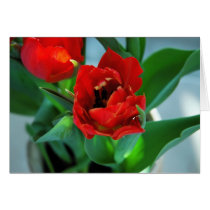Budding Beauty - card cards