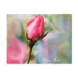 Budding Beauty Postcard
