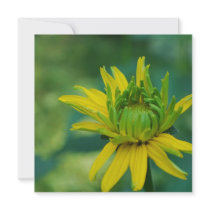 Budding False Sunflower Invitations