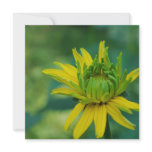 Budding False Sunflower Invitations