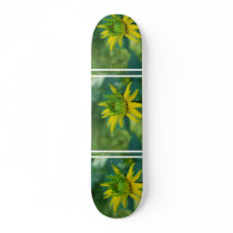 Budding False Sunflower Skateboard