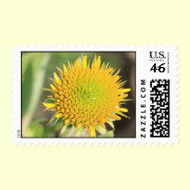 Budding Flower Stamp
