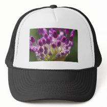 budding royalty hats