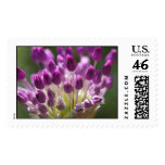 budding royalty postage stamps