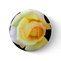Budding Yellow Rose Buttons