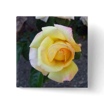 Budding Yellow Rose Buttons