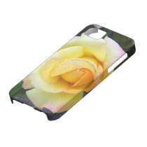 Budding Yellow Rose iPhone Case iPhone 5 Cover
