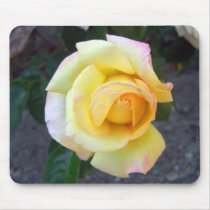 Budding Yellow Rose Mousepad