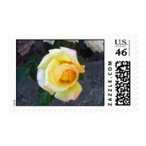 Budding Yellow Rose Stamps