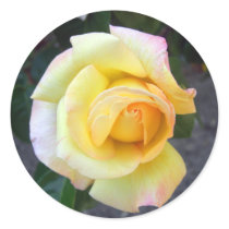Budding Yellow Rose Stickers
