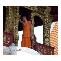 Buddist Monk posters