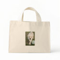 Buddy Bag