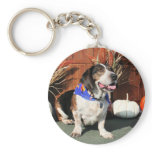 Buddy Beagle Basset Hybrid Photo-01 Keychain