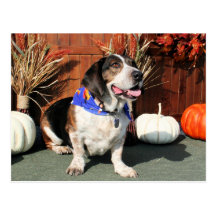 Buddy Beagle Basset Hybrid Photo-01 Postcard
