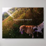 BUDDY & BO'S WEB SITE posters