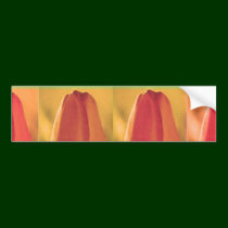 Buddy Buddy: Flower Buds bumper stickers by doonagiri Buddy Buddy: Flower Buds bumper stickers