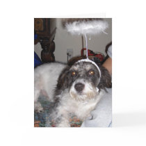 Buddy Christmas cards by paulaflint Buddy Christmas cards