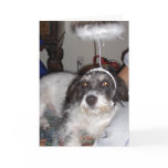 Buddy Christmas cards