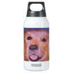 Buddy, everyone's friend insulated water bottle