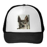 Buddy Mesh Hats