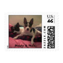 Buddy & Mochi postage