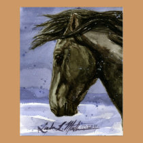 Buddy of Sand Wash Basin HMA Colorado posters