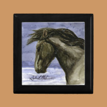 Buddy of Sand Wash Basin HMA gift boxes