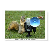 BUDDY P. SQUIRREL POSTER posters by scottjohnson BUDDY P. SQUIRREL POSTER posters