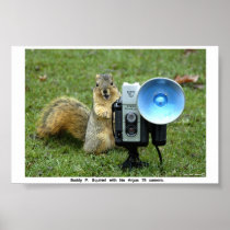 BUDDY P. SQUIRREL POSTER 