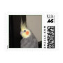 Buddy Postage Stamps