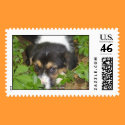 buddy postage by pattycake buddy postage