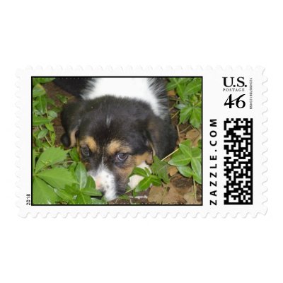 buddy postage stamps by pattycake