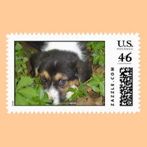 buddy stamps