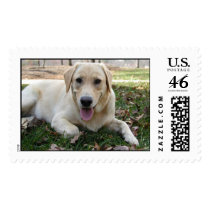 Buddy postage by cjsparkle1982 Buddy postage
