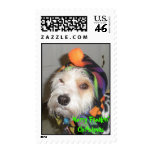Buddy says ~ Merry Freakin' Christmas Postage Stamps